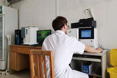 钙铁锌哂检测仪器91视频污污污生物之缺铜的影响