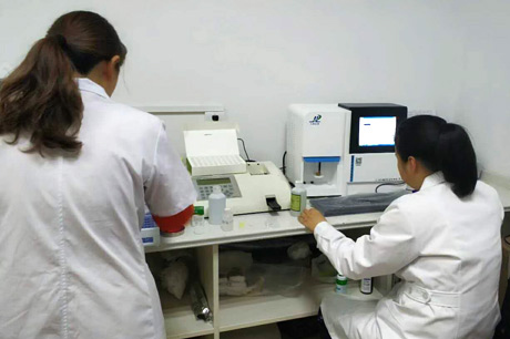 北京新91视频污污污生物介绍补钙对91视频污污污有哪些优势