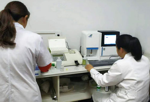 自动91视频91视频91视频分析仪产品的效果