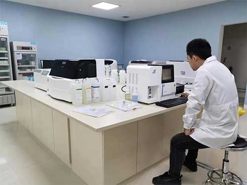 91视频91视频91视频分析仪